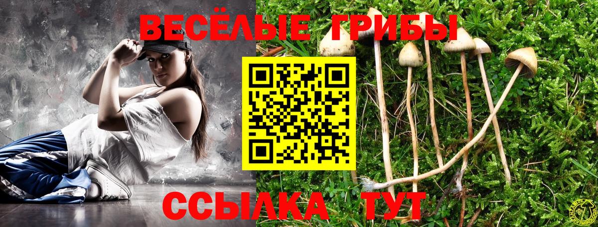 Галлюциногенные грибы Cubensis Архангельск