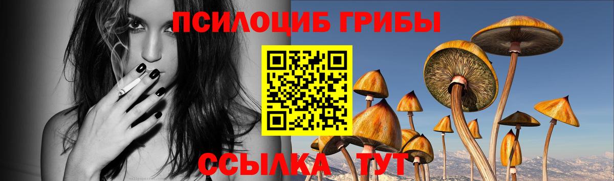 Псилоцибиновые грибы прущие грибы  Вход с VPN  Галлюциногенные грибы Cubensis  Архангельск 